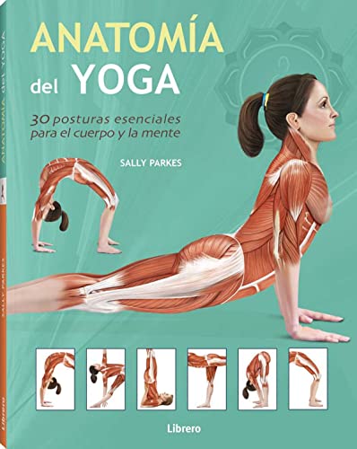 Anatomí­a del yoga (SIN COLECCION)