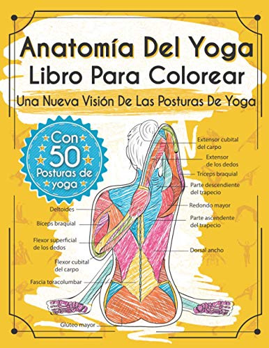 Anatomía Del Yoga Libro Para Colorear: Una Nueva Visión De Las Posturas De Yoga
