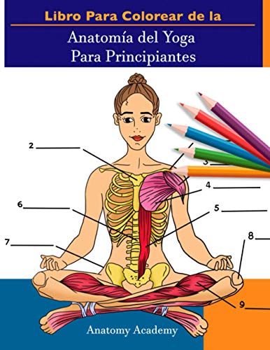 Libro Para Colorear de la Anatomía del Yoga Para Principiantes: 50+ Ejercicios de Colores con...